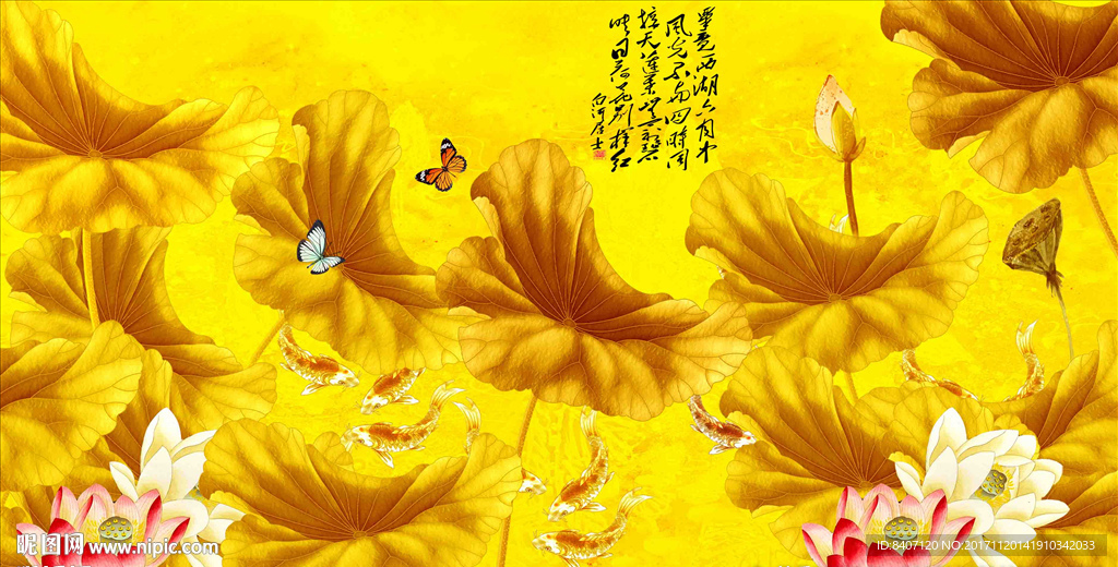 荷花
