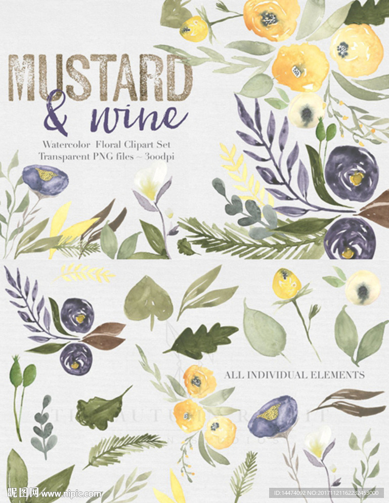 手绘水彩植物花朵