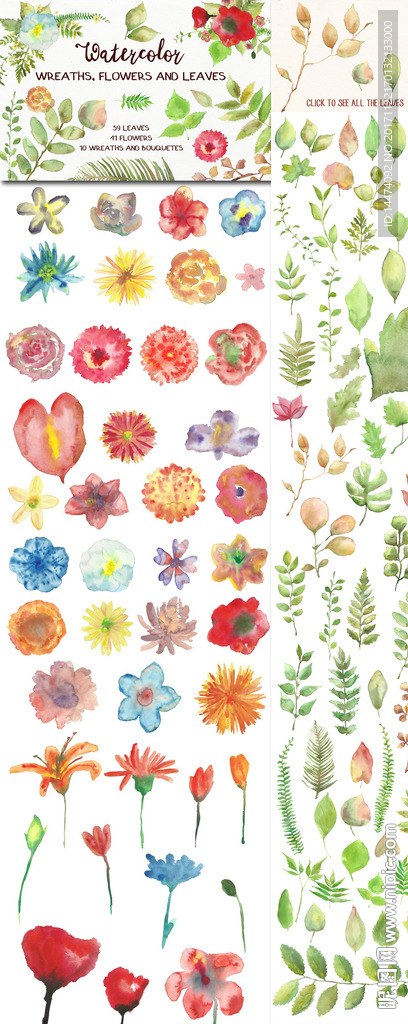 手绘水彩植物花朵