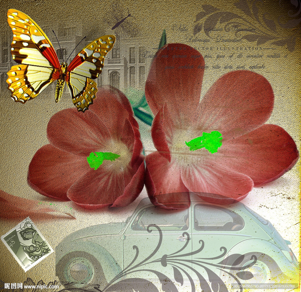 蝴蝶花卉装饰画