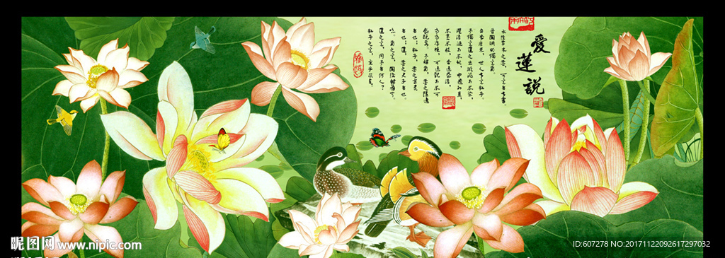 荷花