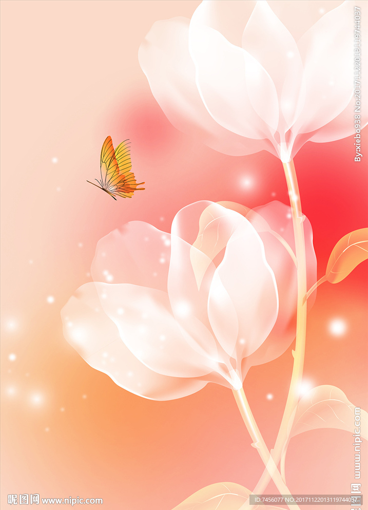 蝶恋透明花卉玄关过道