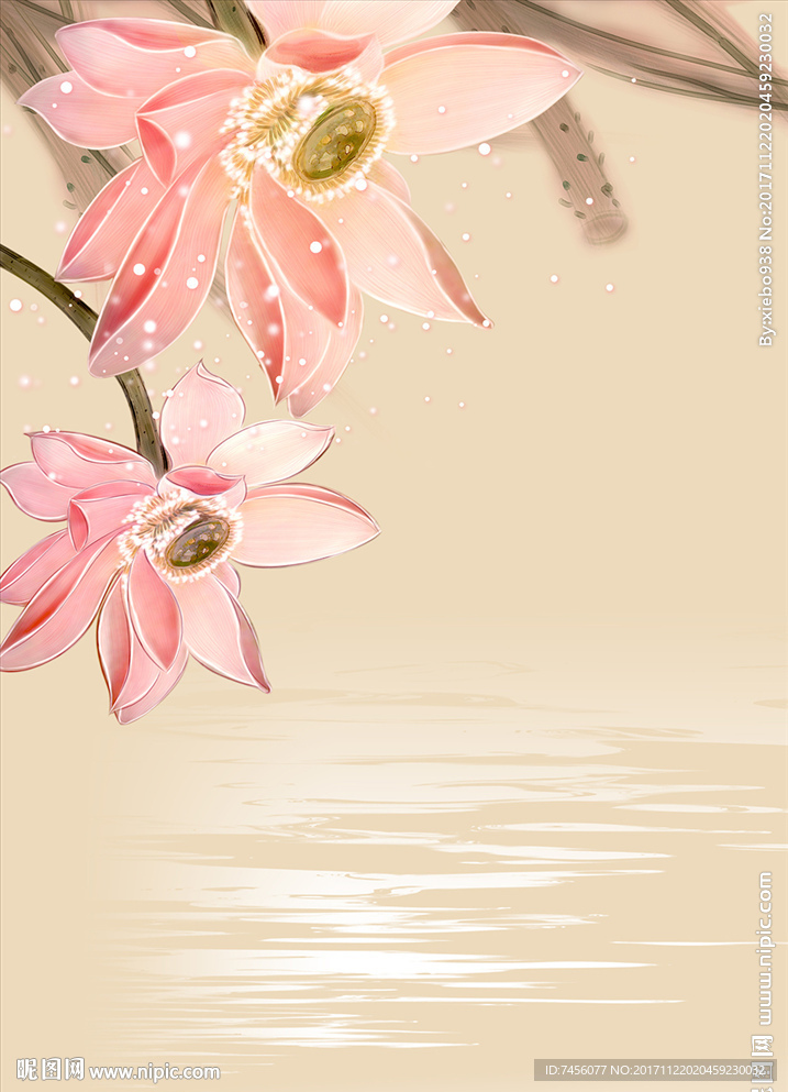 水中莲花中式玄关过道