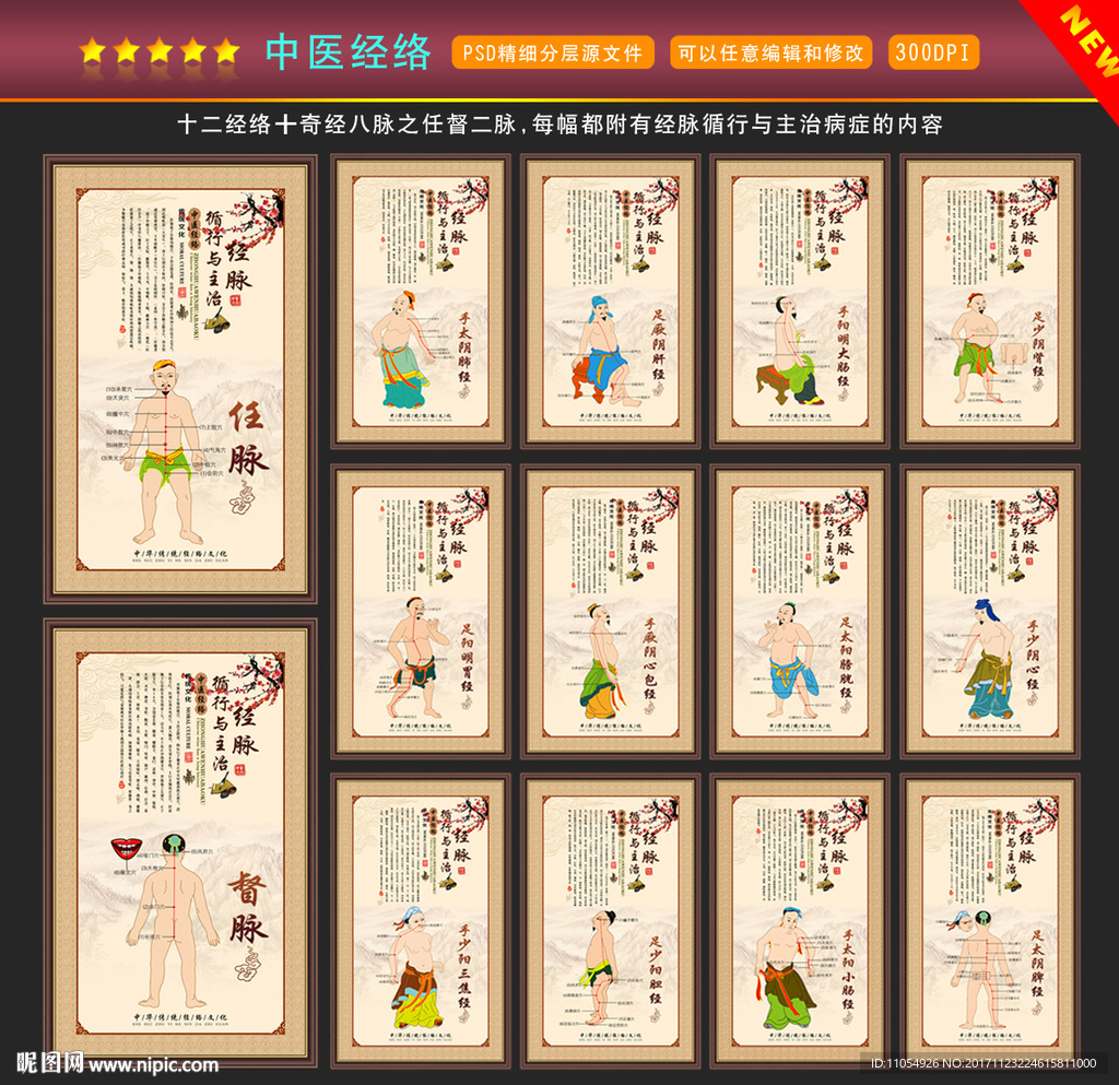 中医经络
