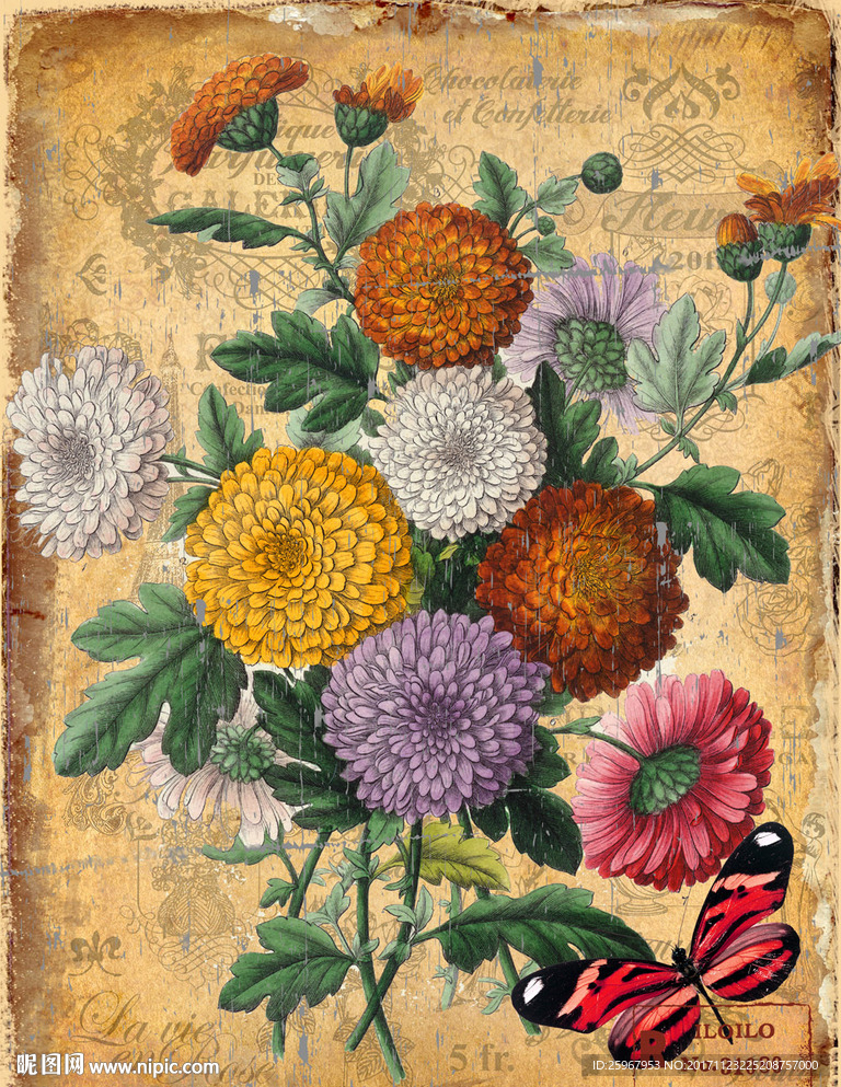 蝴蝶花卉装饰画