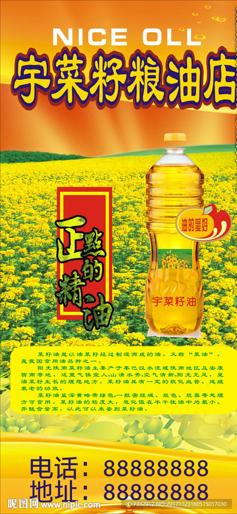 菜籽