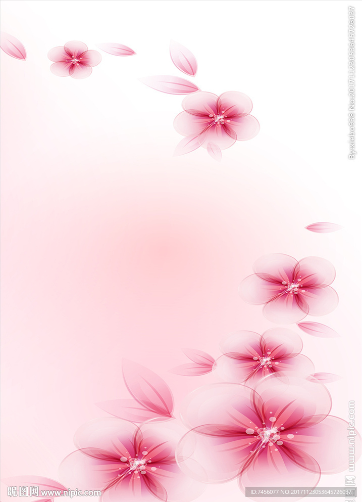 淡雅唯美花卉花瓣玄关过道