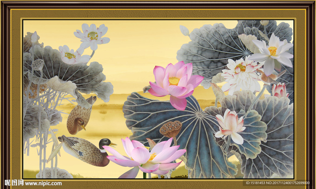 荷花图