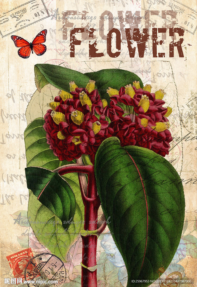 蝴蝶花卉装饰画