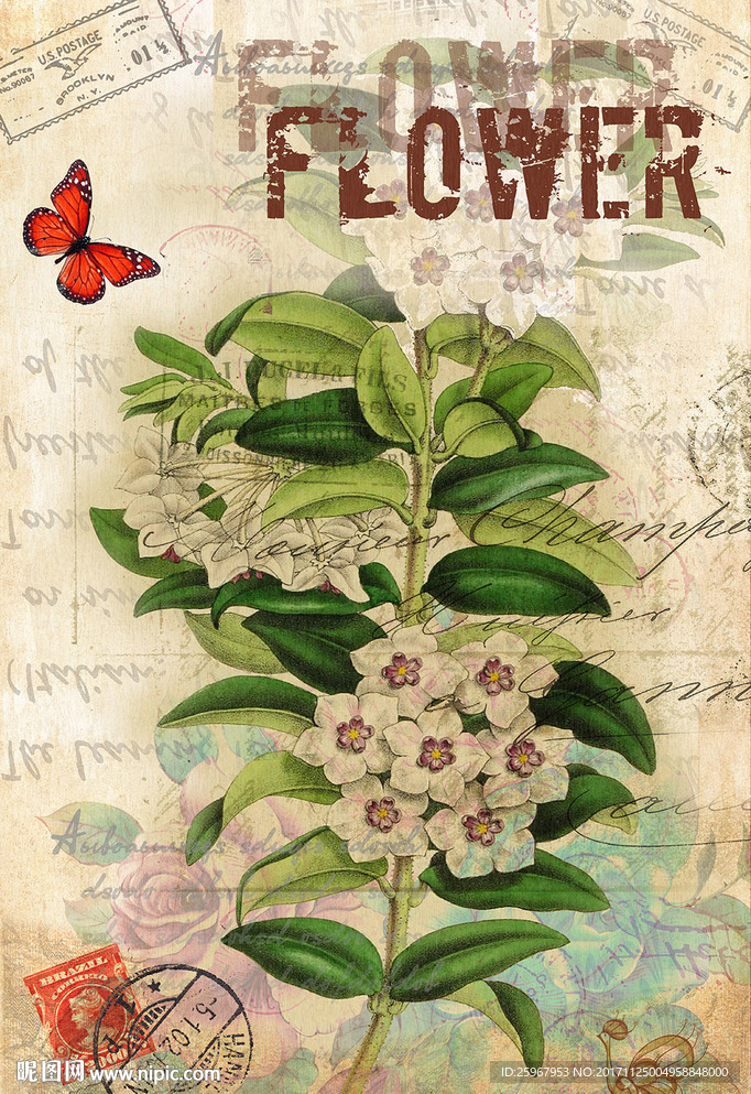 蝴蝶花卉装饰画