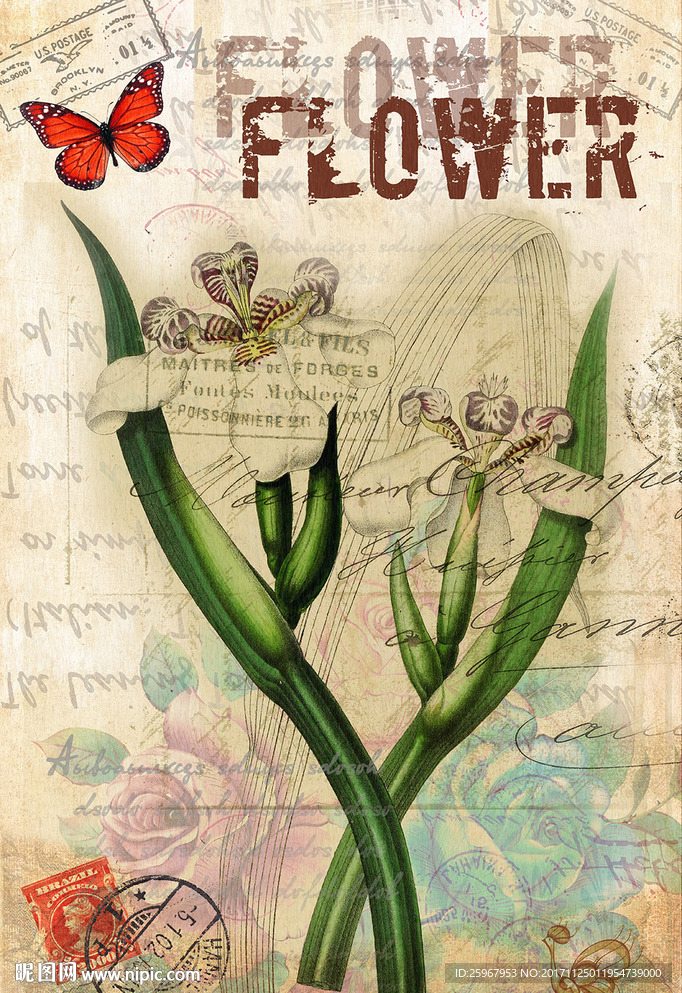 蝴蝶花卉装饰画