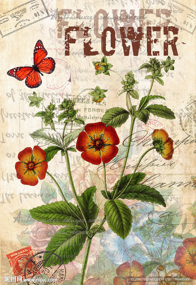 蝴蝶花卉装饰画