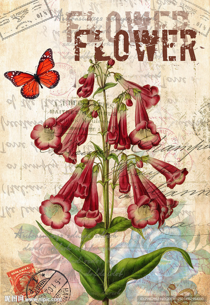 蝴蝶花卉装饰画