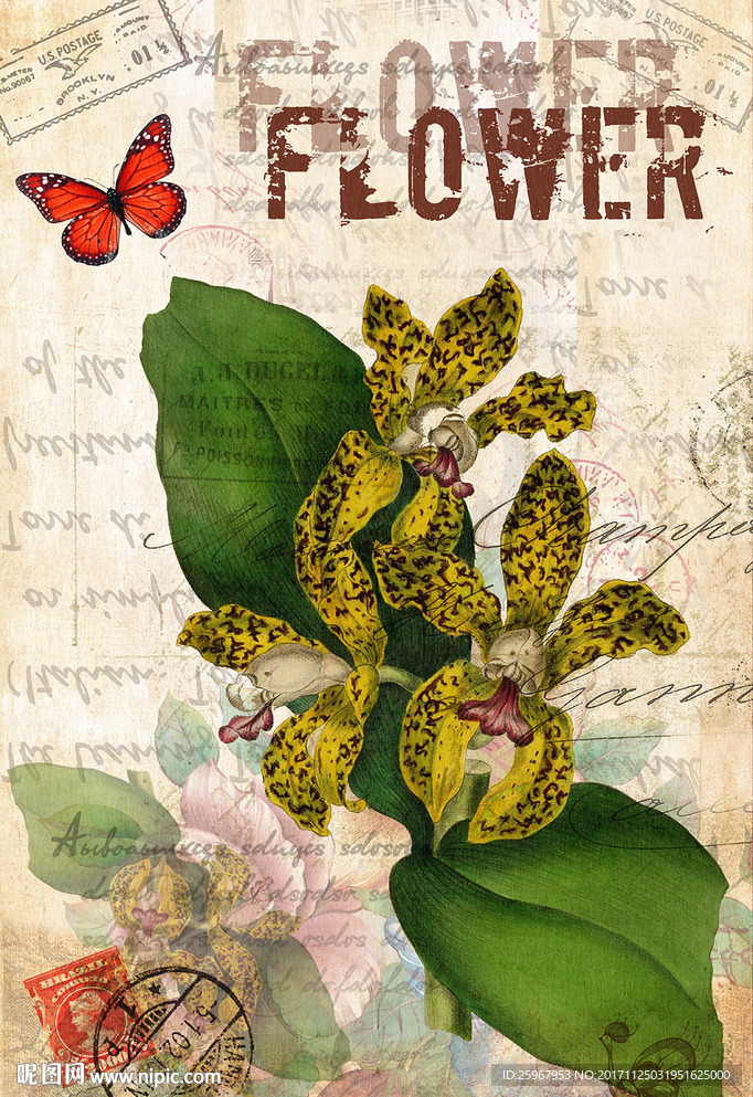 蝴蝶花卉装饰画