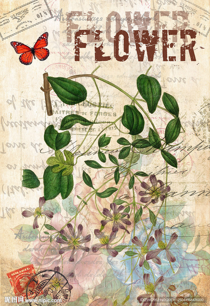 蝴蝶花卉装饰画