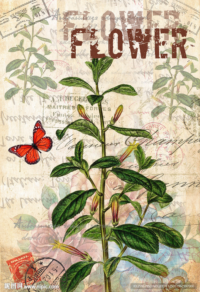 蝴蝶花卉装饰画