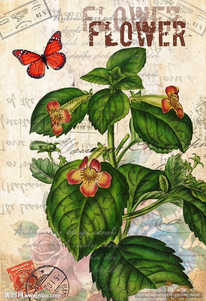 蝴蝶花卉装饰画