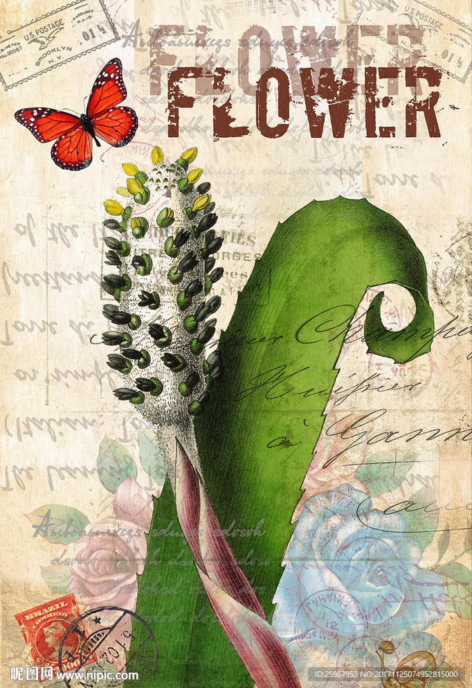 蝴蝶花卉装饰画