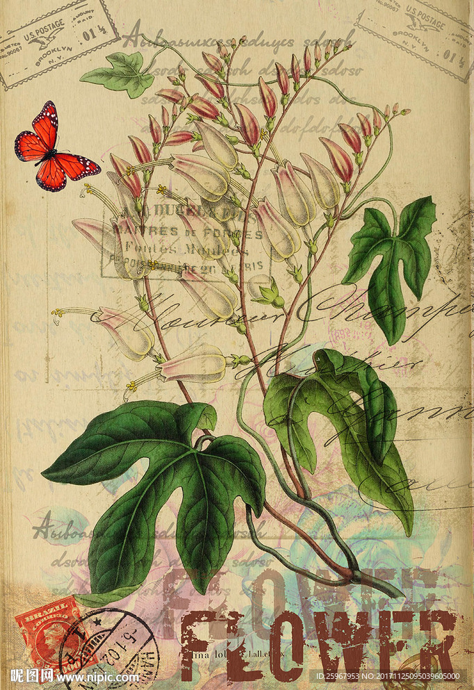 蝴蝶花卉装饰画