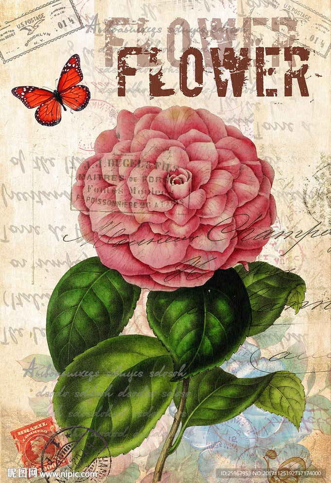 蝴蝶花卉装饰画