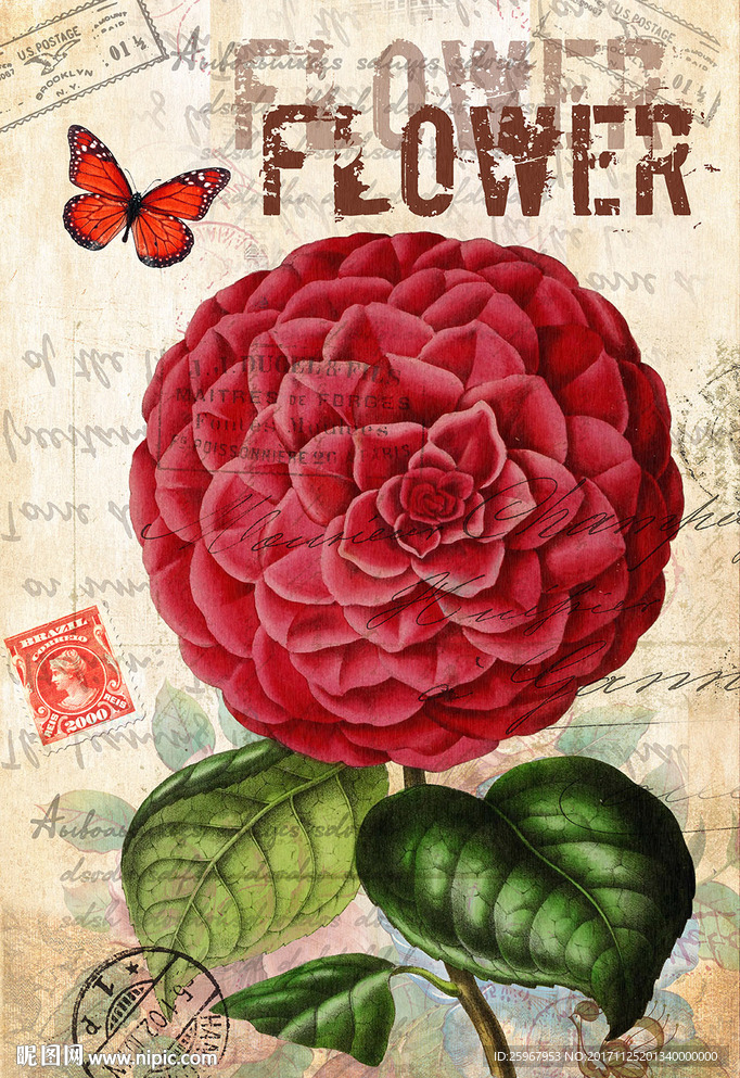 蝴蝶花卉装饰画