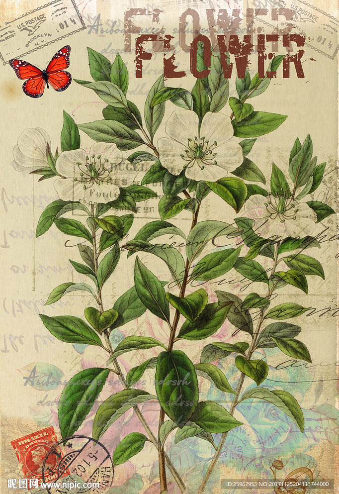 蝴蝶花卉装饰画