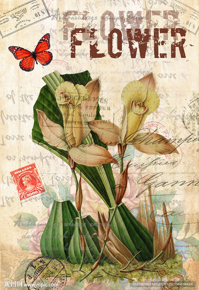 蝴蝶花卉装饰画