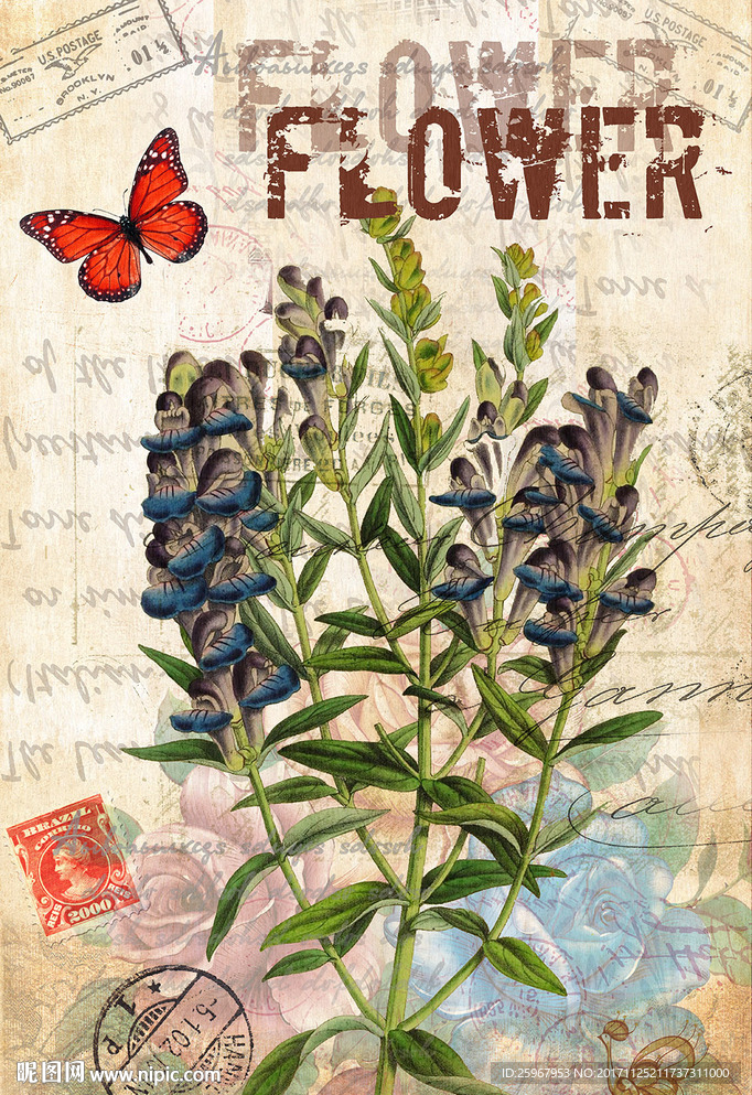 蝴蝶花卉装饰画