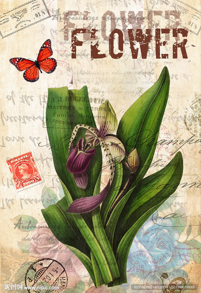 蝴蝶花卉装饰画