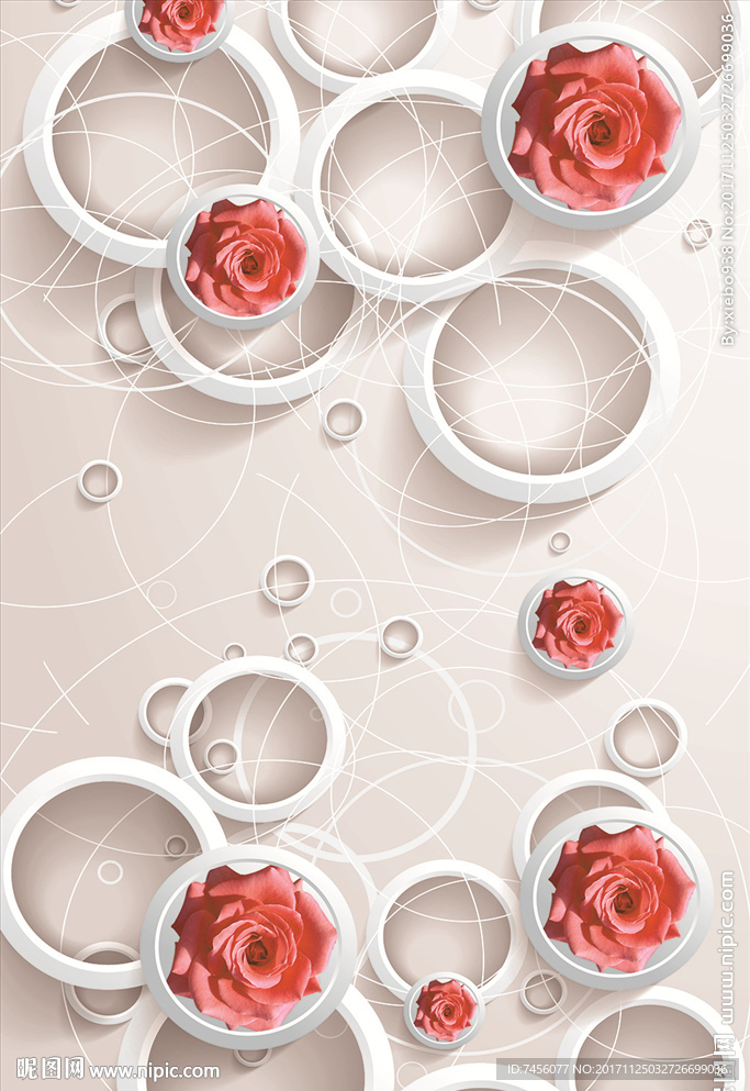 玫瑰花花瓣玄关过道