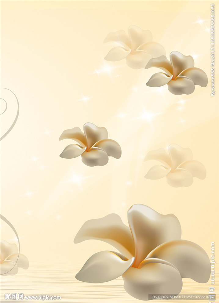 唯美花瓣白花瓣玄关过道