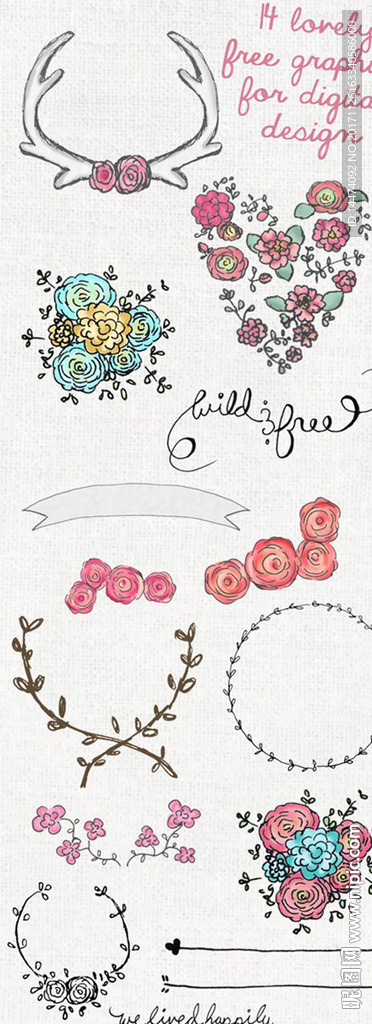 手绘水彩植物花朵