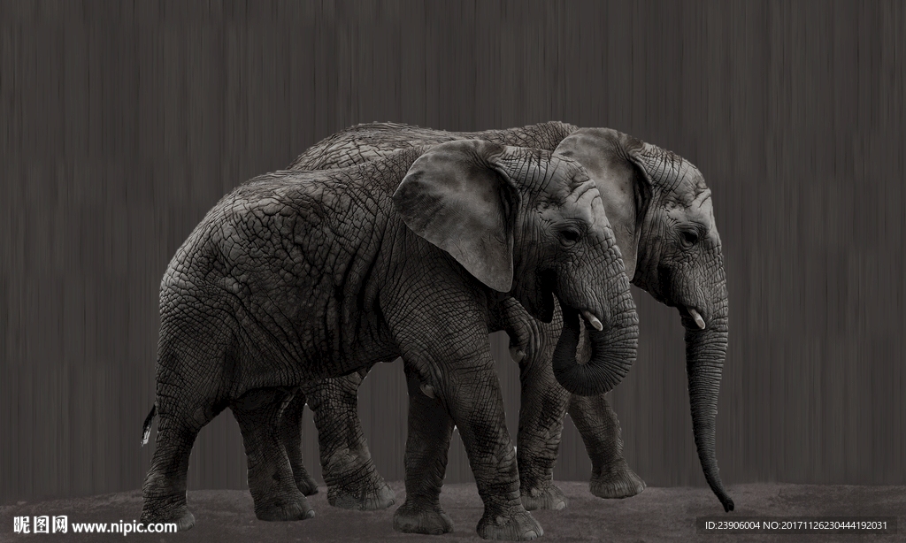 大型大象背景墙装饰画