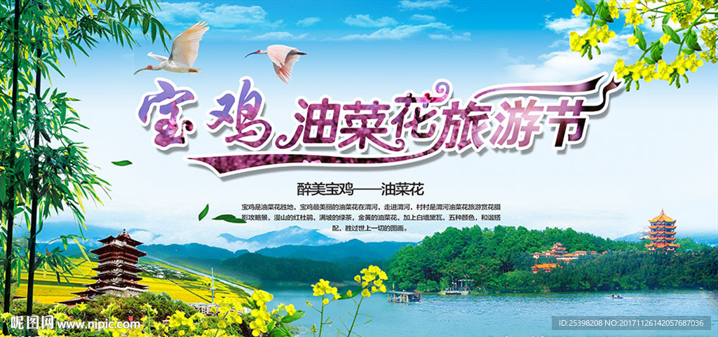 油菜花