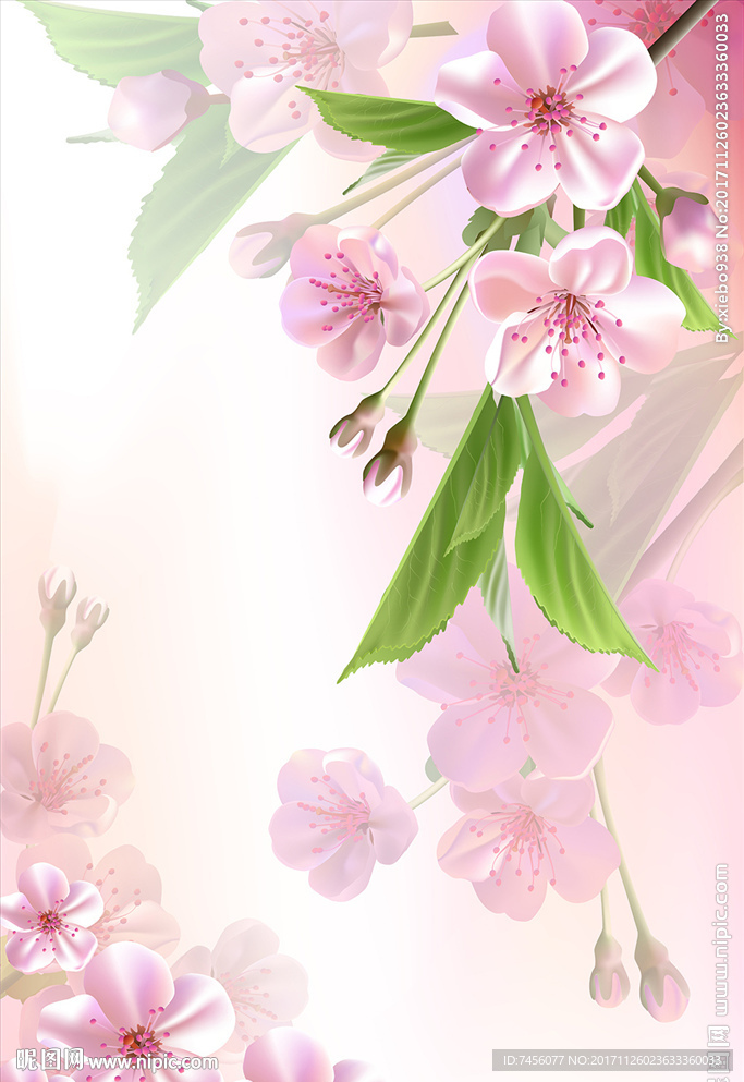 唯美兰花浪漫玄关过道