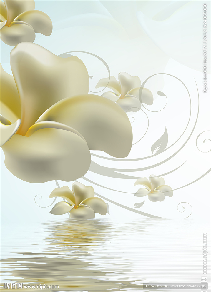 小白花高清玄关过道