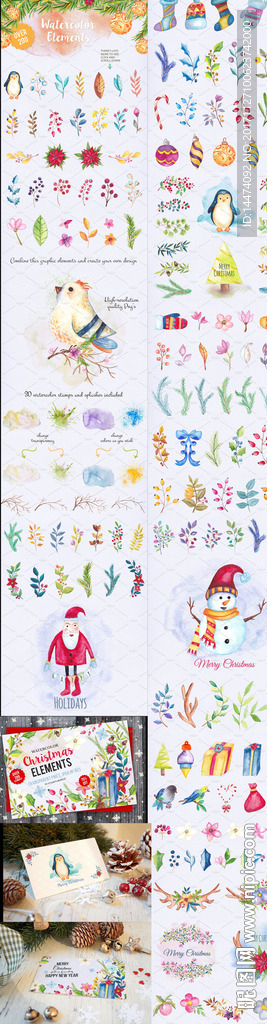 手绘水彩植物花朵