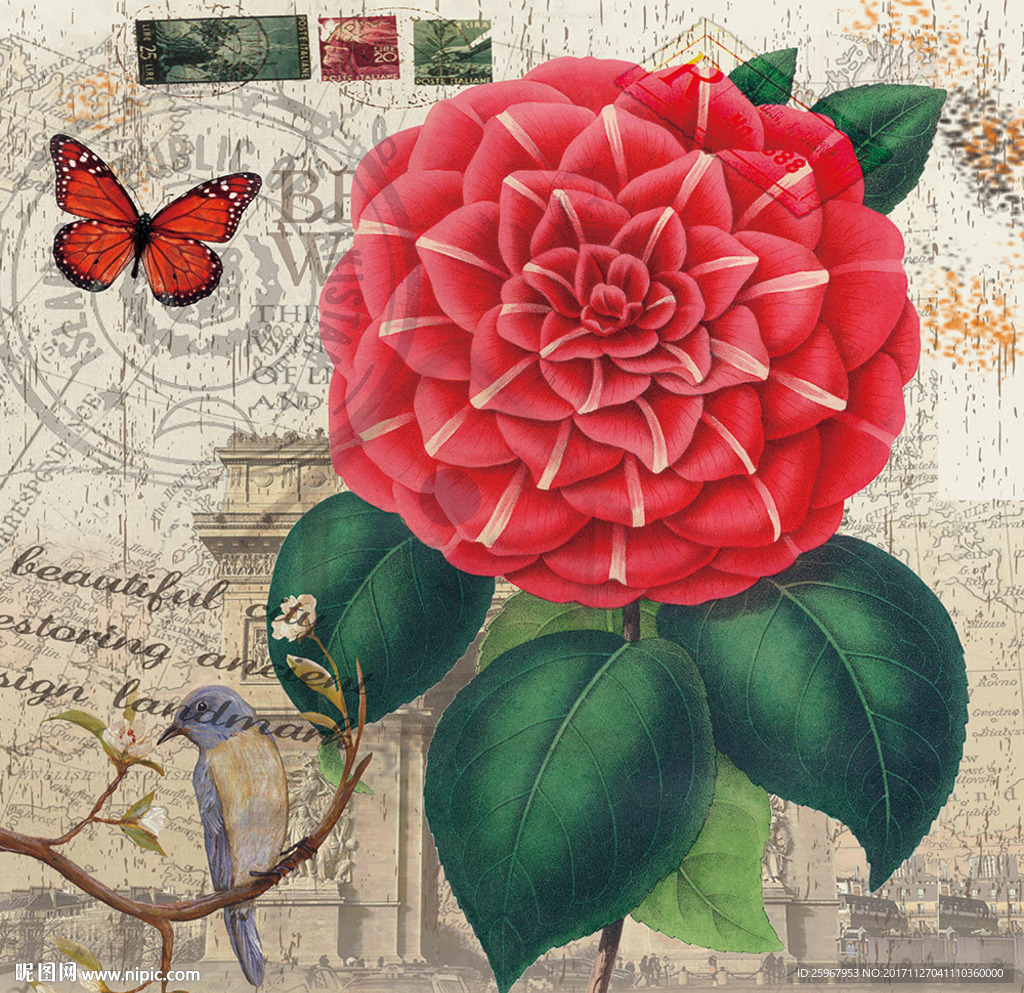 蝴蝶花卉装饰画