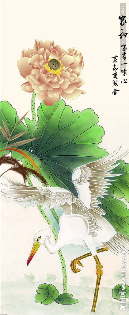 国画荷花玄关