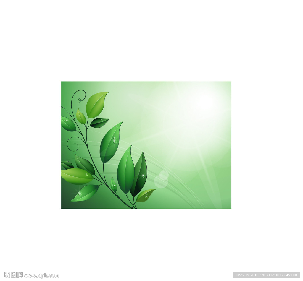 绿色植物叶子节日贺卡相框设计