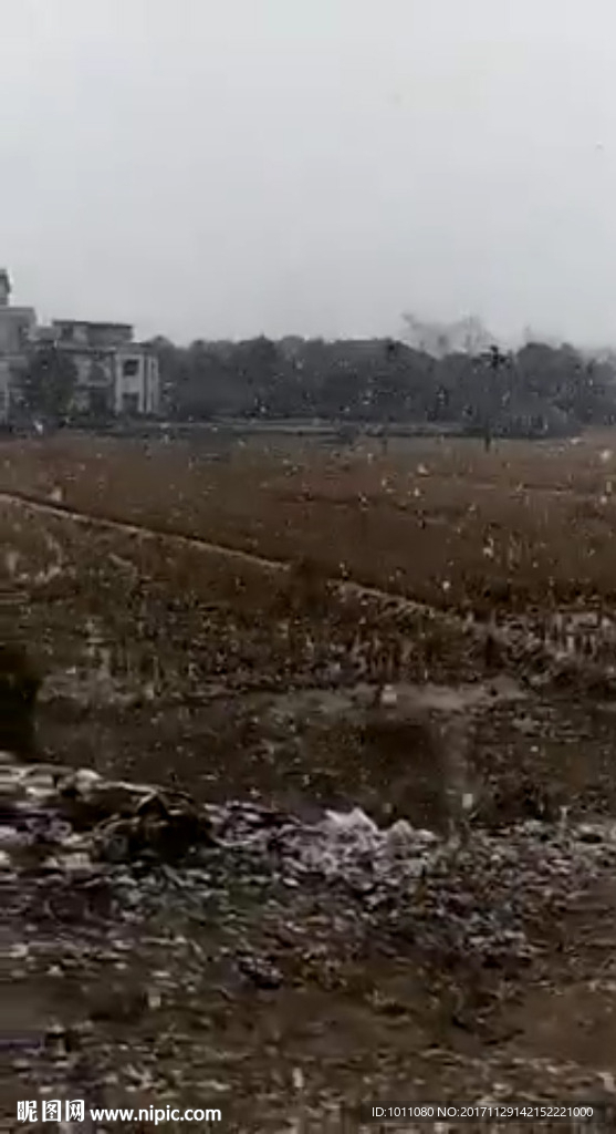 飘棉花大雪花