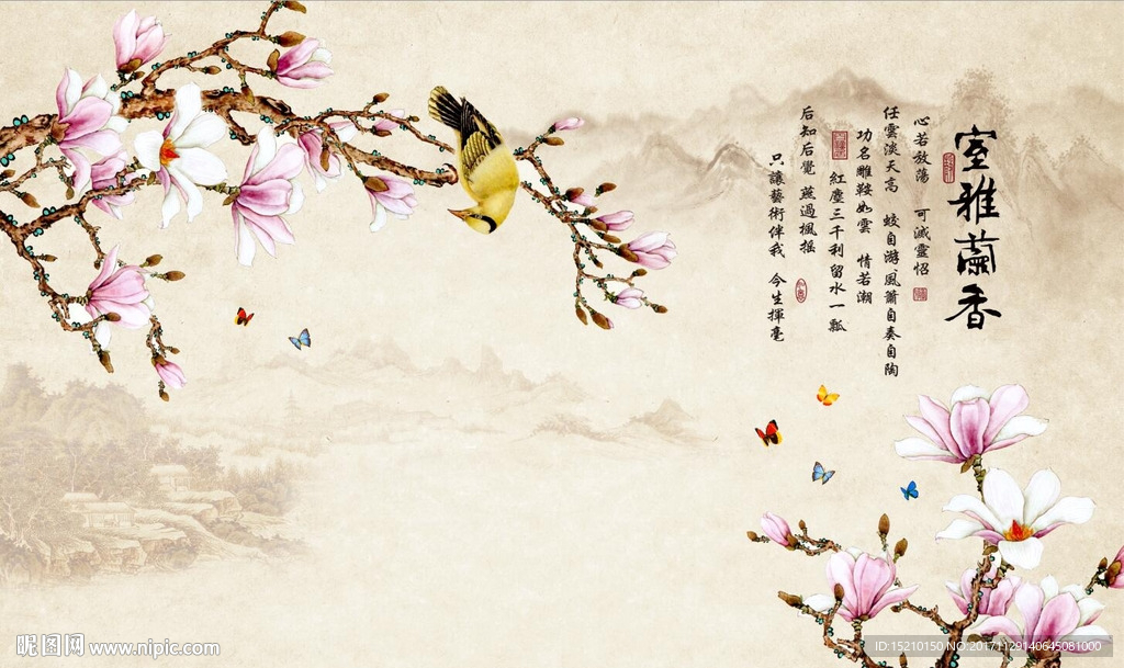 国画玉兰花