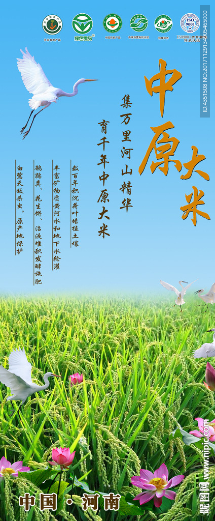 绿色大米