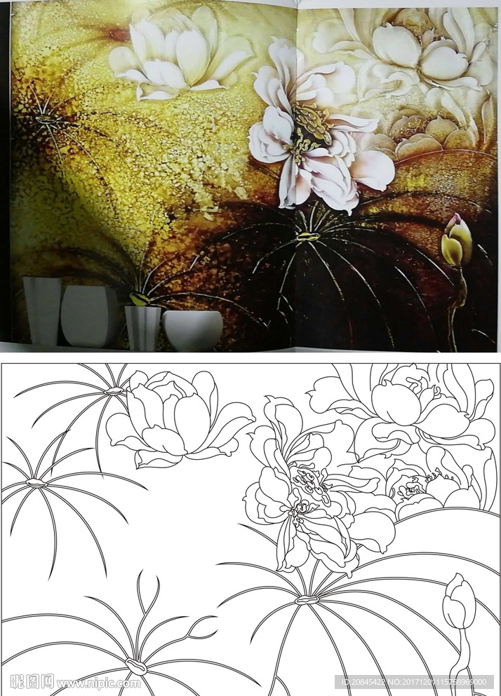 荷花