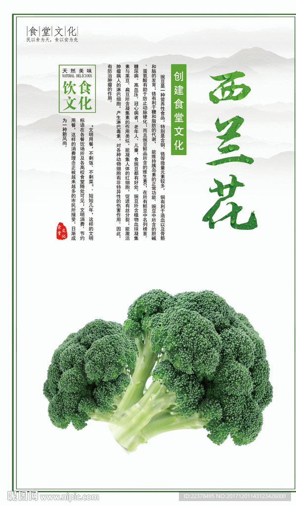 食堂文化  西兰花