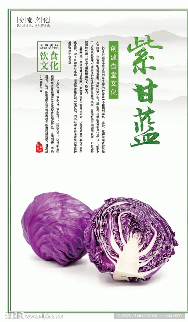 食堂文化  紫甘蓝