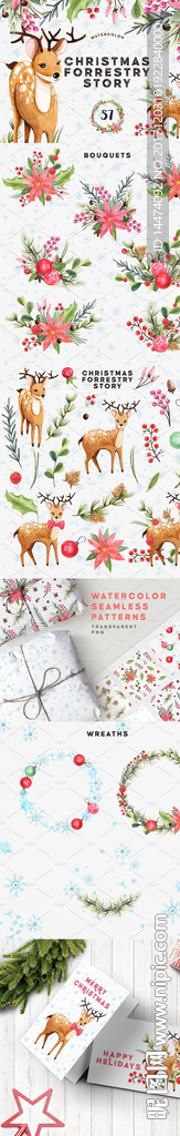 手绘水彩植物花朵