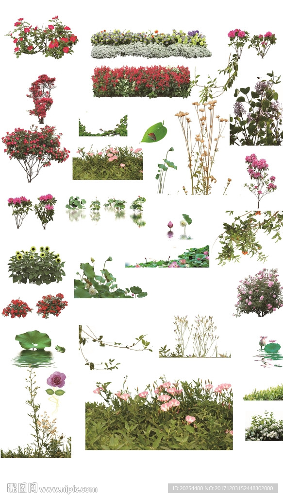 花