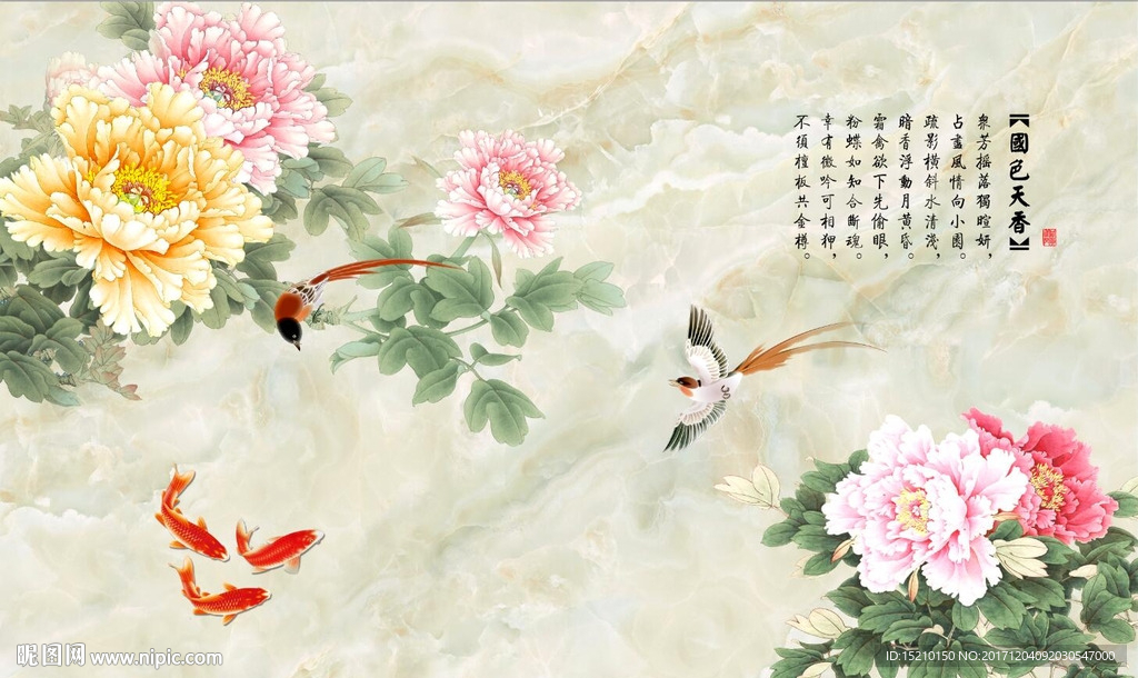 国色天香牡丹花