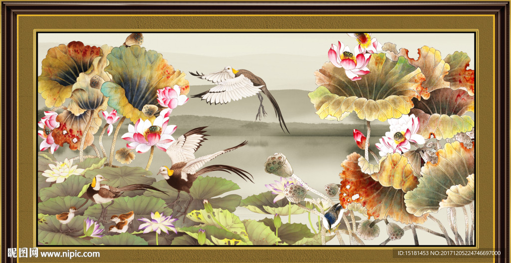 荷花国画